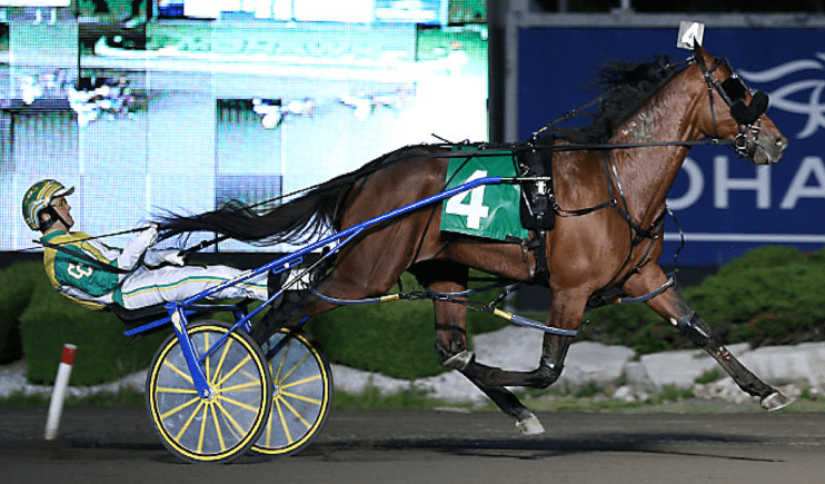 Always B Miki Nearing Return - Harness Racing Update