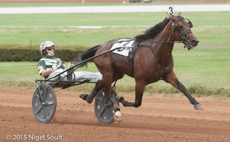 Southwind Frank Sizzles in World-Record Performance - Harness Racing Update