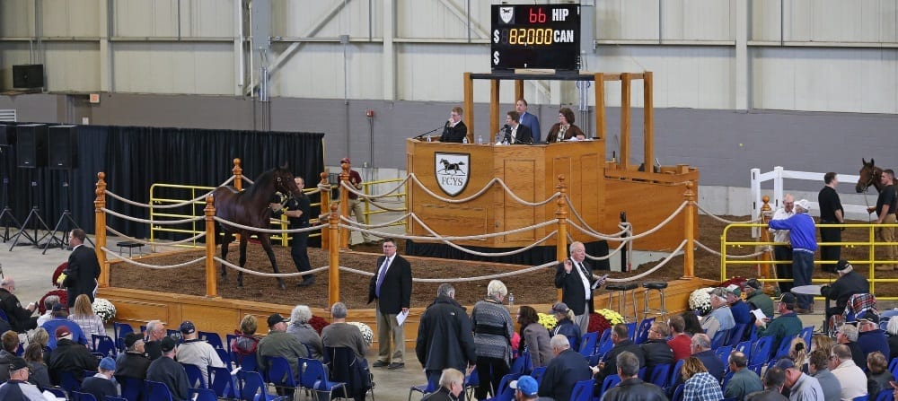 Joining Forces in Ontario – Harness Racing Update