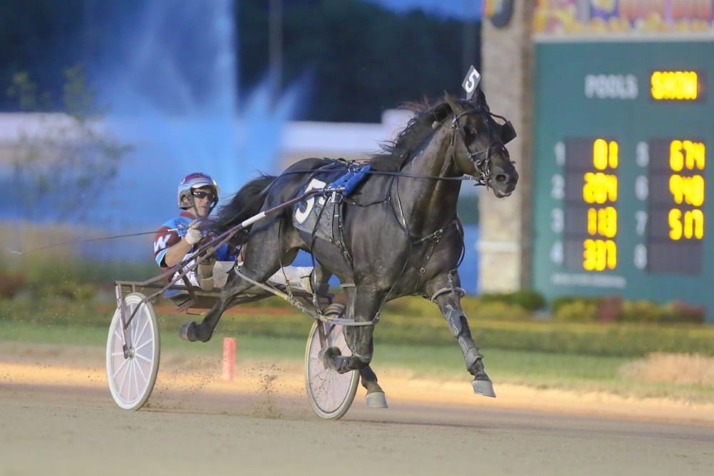 Night Pro (shown at Hoosier Park in 2016 with Sam Widger driving) will contest tonight's Molson Pace from the trailing position with Bob McClure in the sulky | Dean Gillette