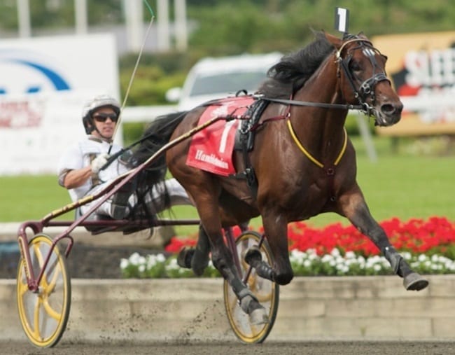 The incomparable Muscle Hill (shown winning the 2009 Hambletonian with Brian Sears) has sired five of the 10 Hambletonian Oaks finalists | Dave Landry