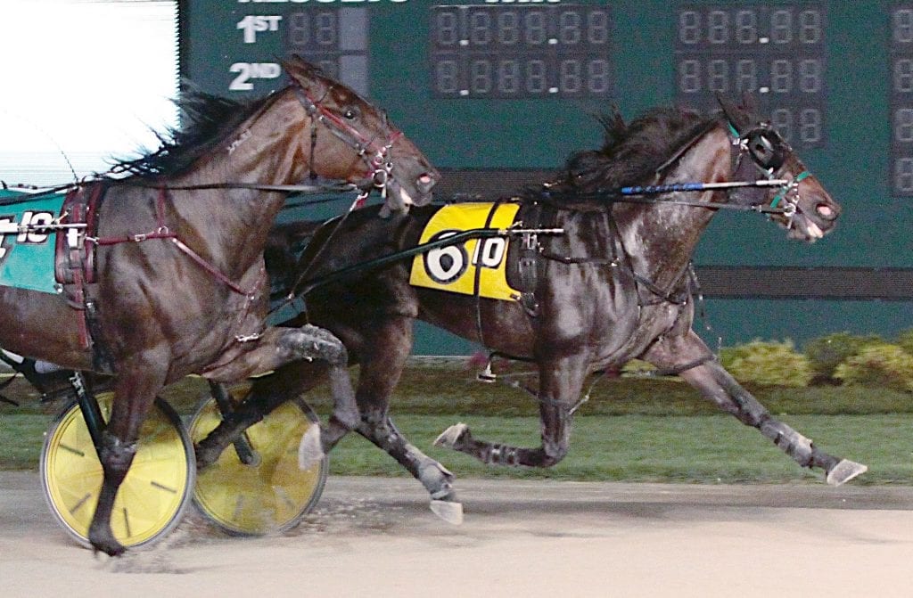 Hoping for super results on Indiana Super Night Harness Racing Update