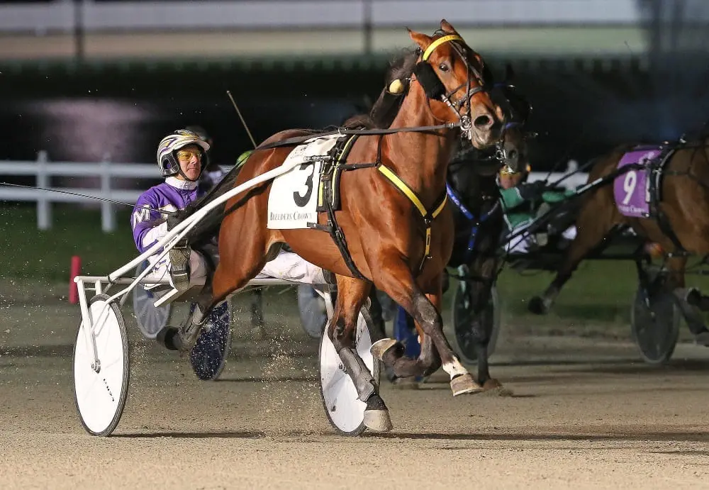 David Miller makes good on IOU with What The Hill Harness Racing Update
