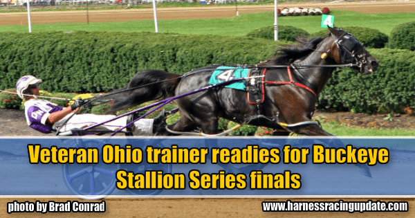 Veteran Ohio trainer readies for Buckeye Stallion Series finals