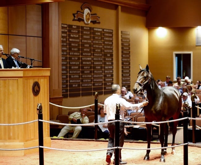 Lexington Sale smashes record for gross with one session still to come