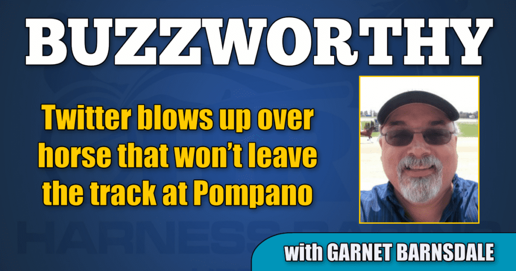 Twitter blows up over horse that won’t leave the track at Pompano