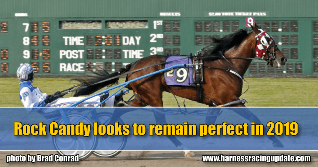 Rock Candy looks to remain perfect in 2019