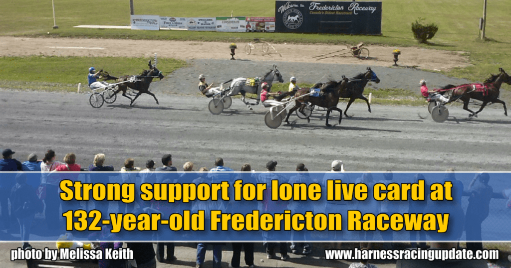 Strong support for lone live card at 132-year-old Fredericton Raceway