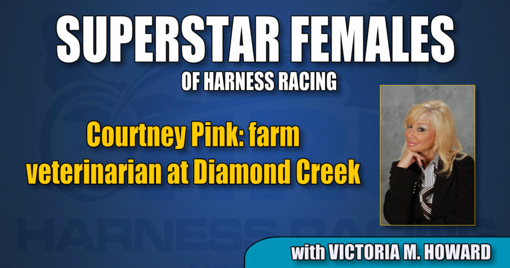 Courtney Pink – farm veterinarian at Diamond Creek