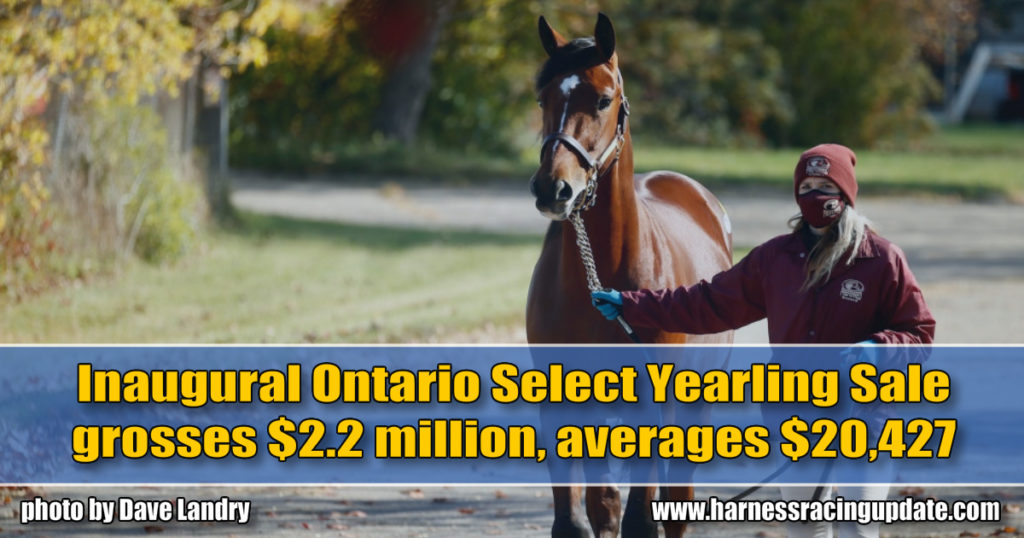 Inaugural Ontario Select Yearling Sale grosses $2.2 million, averages $20,427