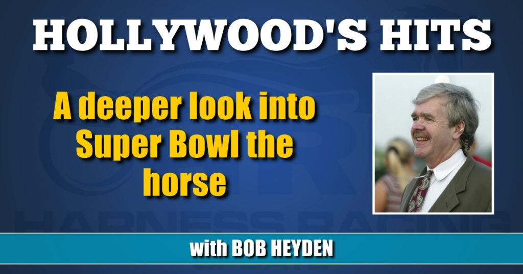 A deeper look into Super Bowl the horse