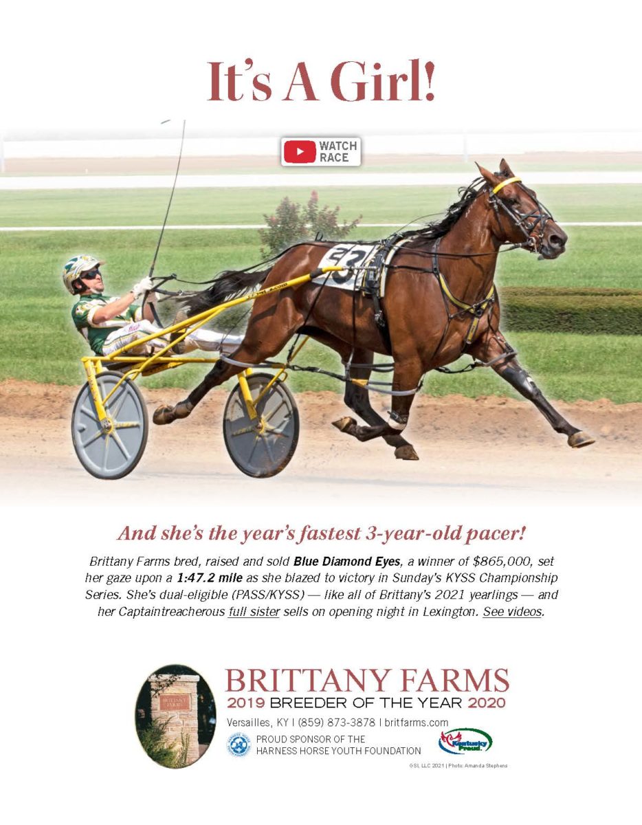 Harness Racing Australia Database Harness Racing Form Australia – Home – CGNPEB