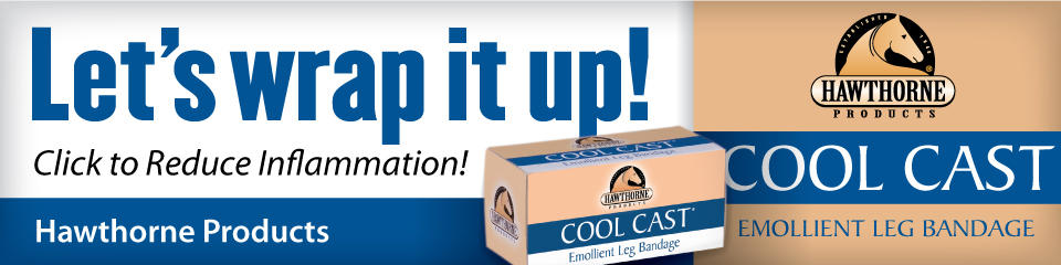 It’s Indiana’s Time - Harness Racing Update