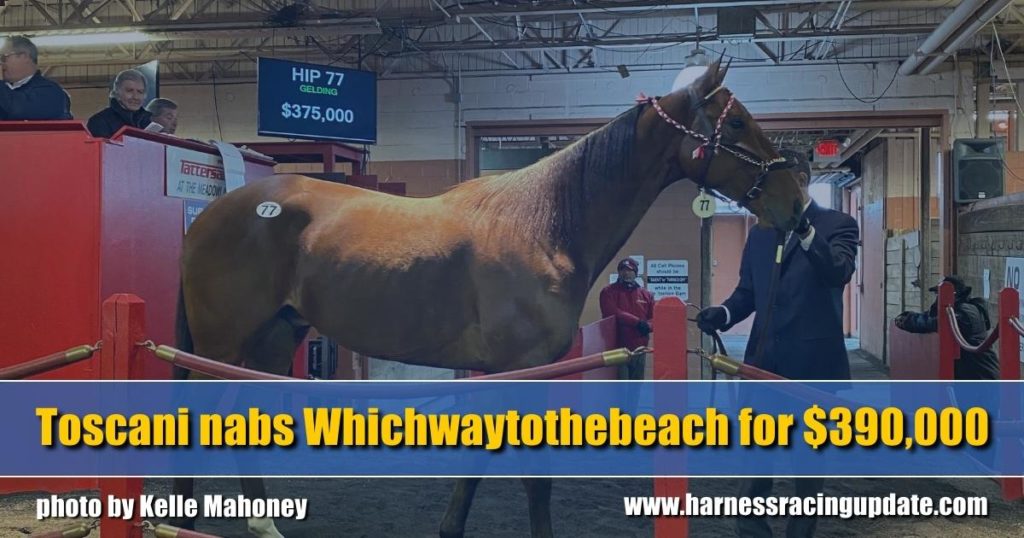 Toscani nabs Whichwaytothebeach for $390,000