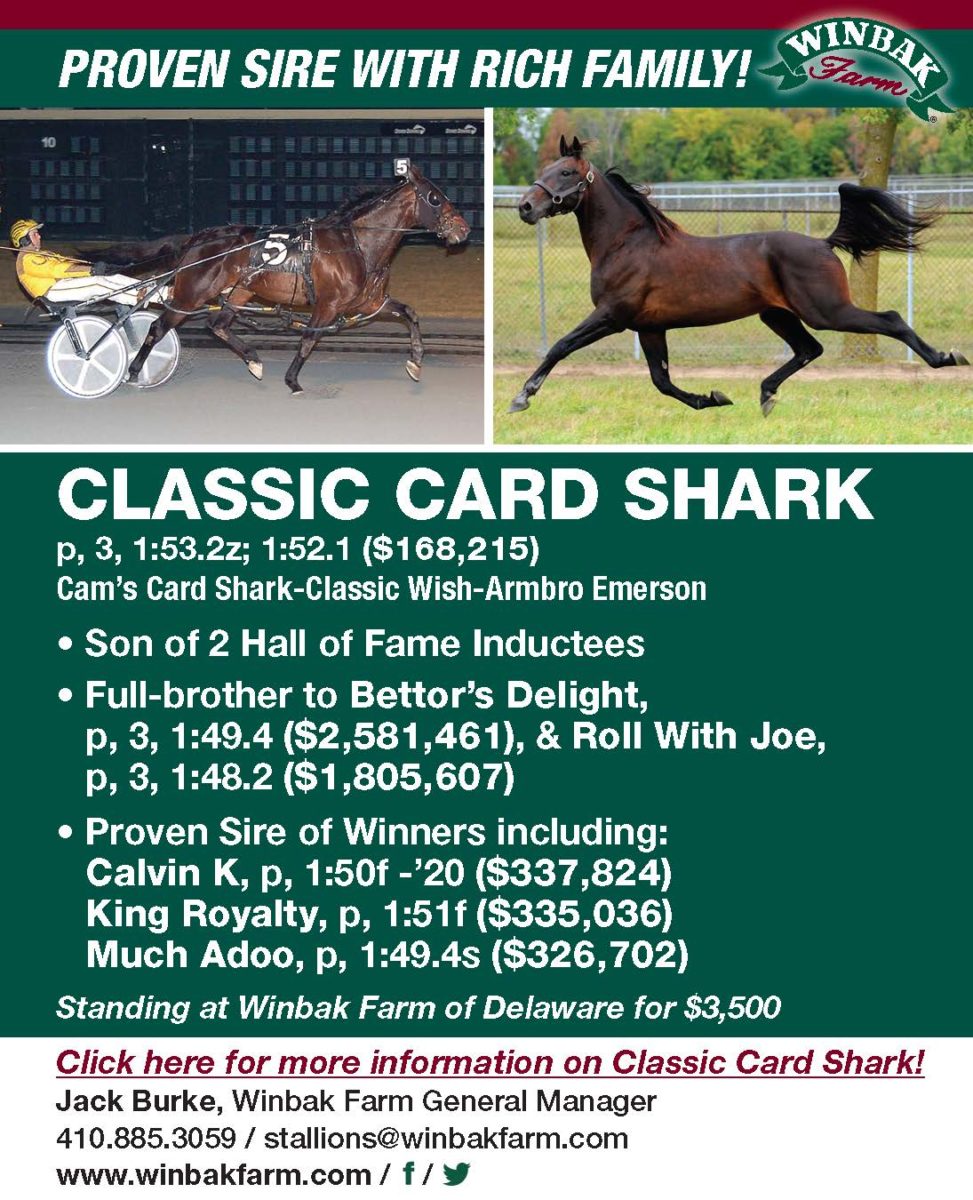 Cal Expo Horse Racing Schedule 2022 And Then There Was One - Harness Racing Update