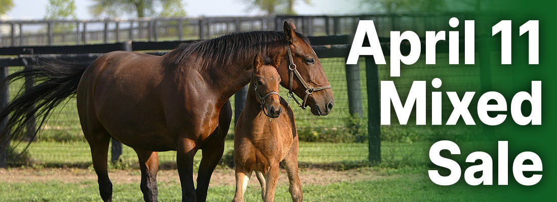 harness-racing-new-south-wales-thanks-owners-and-trainers