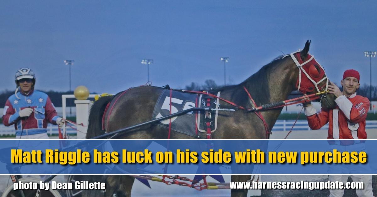 Matt Riggle has luck on his side with new purchase - Harness Racing Update