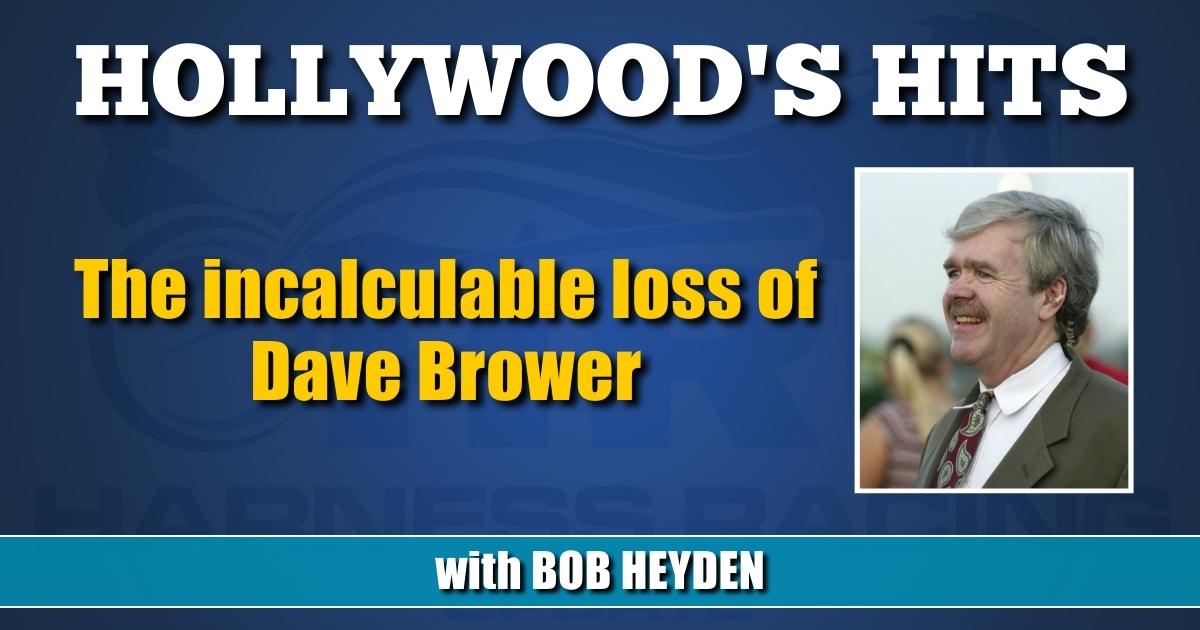 The incalculable loss of Dave Brower