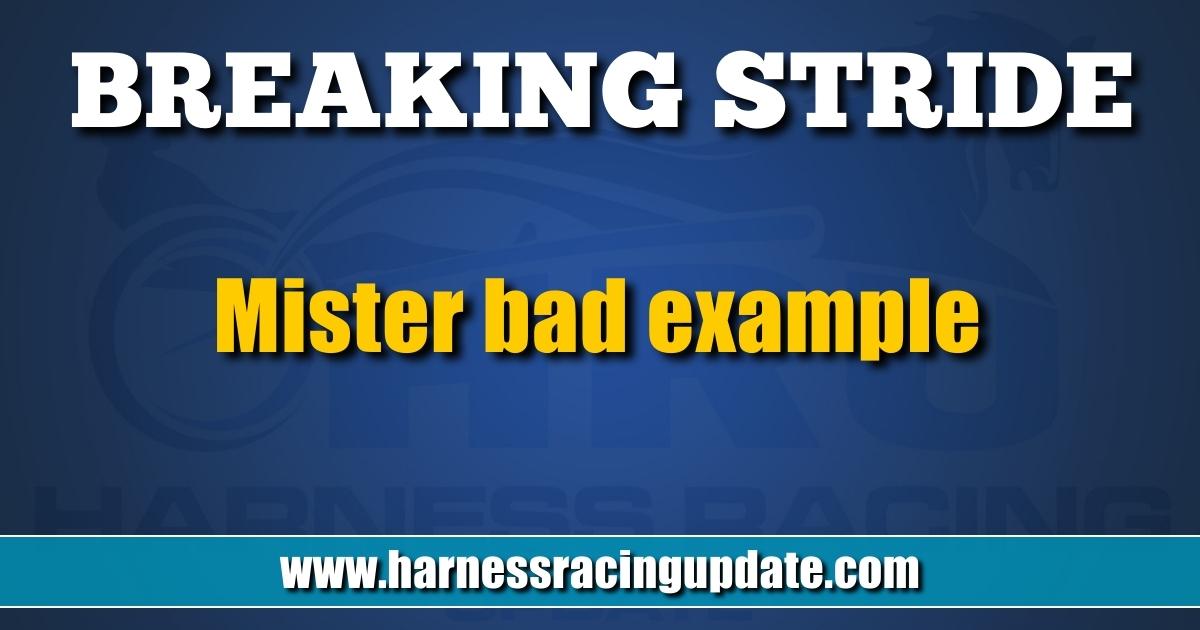 Mister bad example - Harness Racing Update
