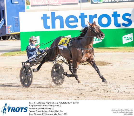 Captain Ravishing Making A Name Outside The Harness Racing Bubble Harness Racing Update