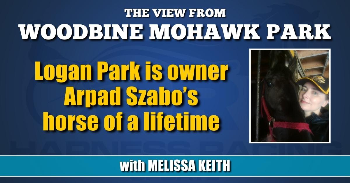Logan Park is owner Arpad Szabo’s horse of a lifetime Harness Racing