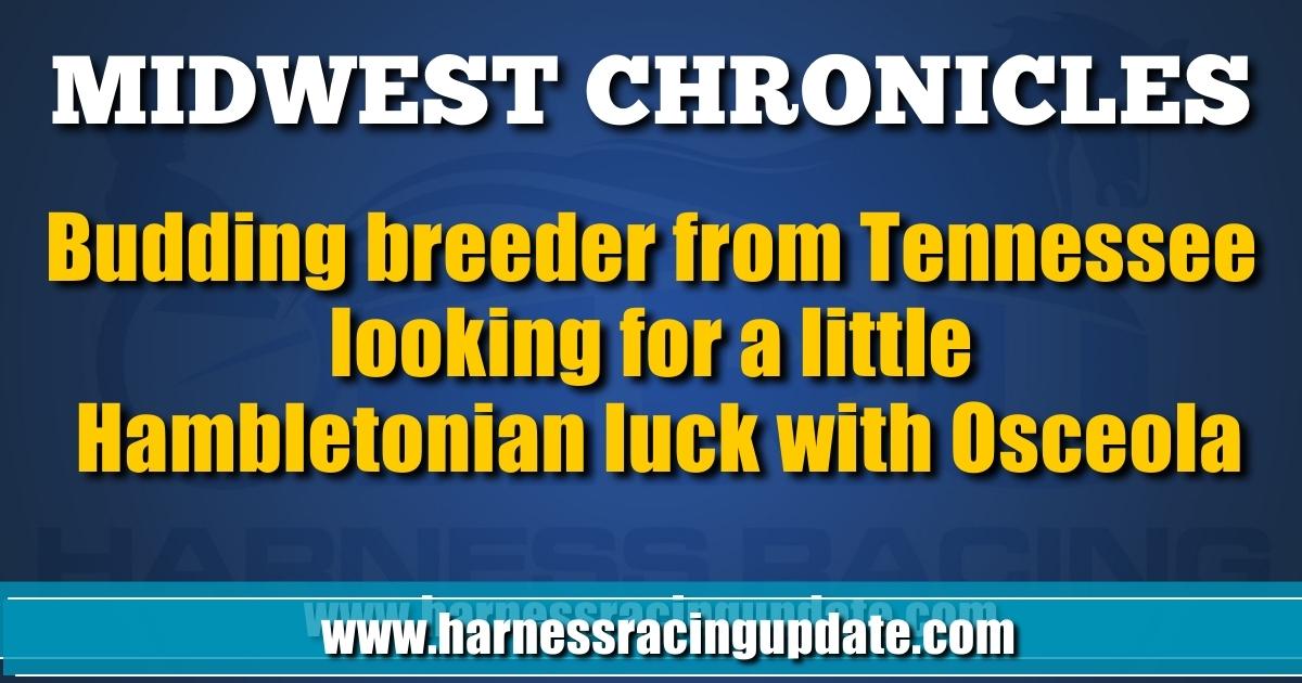 Budding breeder from Tennessee looking for a little Hambletonian