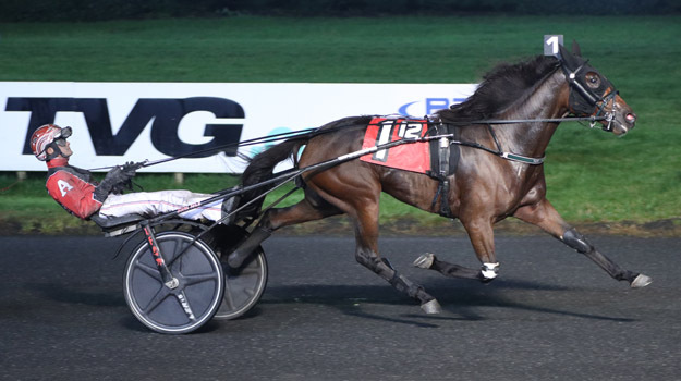 Driver Johnathan Ahle is making the most of every opportunity Harness