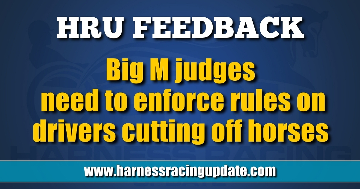 Big M judges need to enforce rules on drivers cutting off horses ...