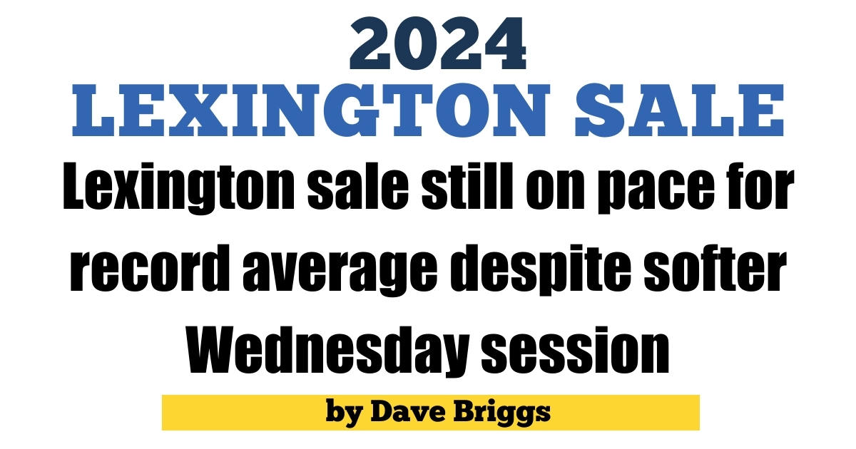 Lexington sale still on pace for record average despite softer