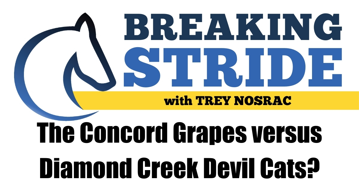 The Concord Grapes versus Diamond Creek Devil Cats?