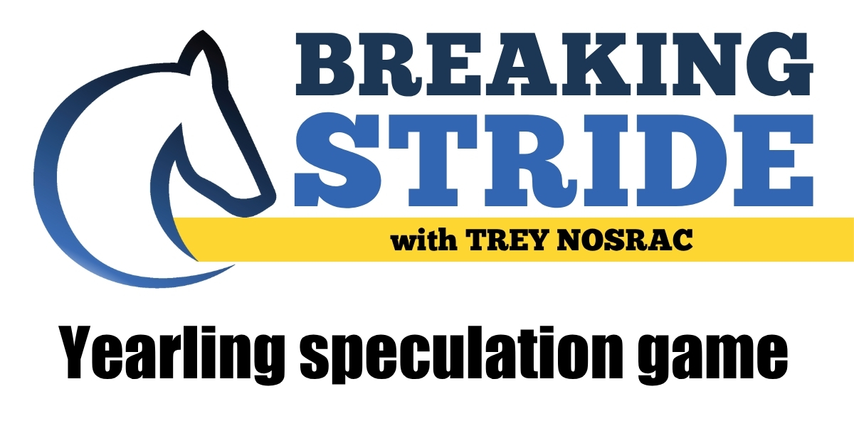 Yearling speculation game