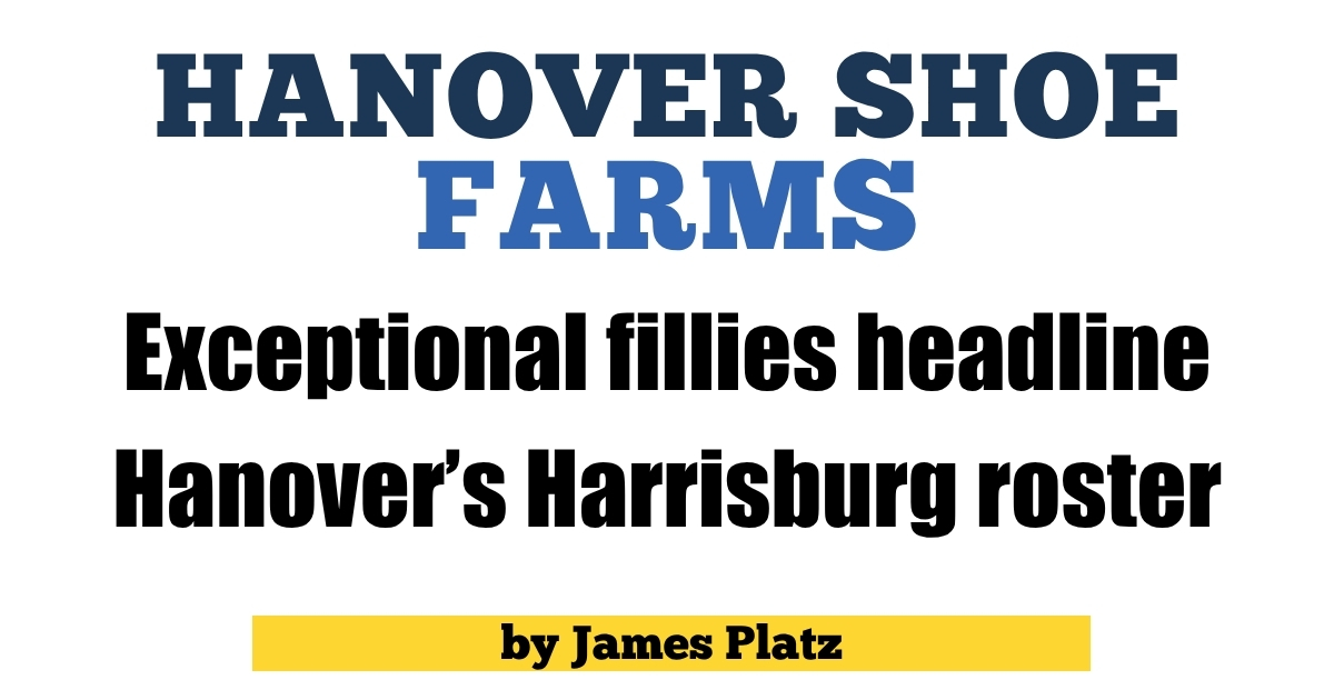 Exceptional fillies headline Hanover’s Harrisburg roster
