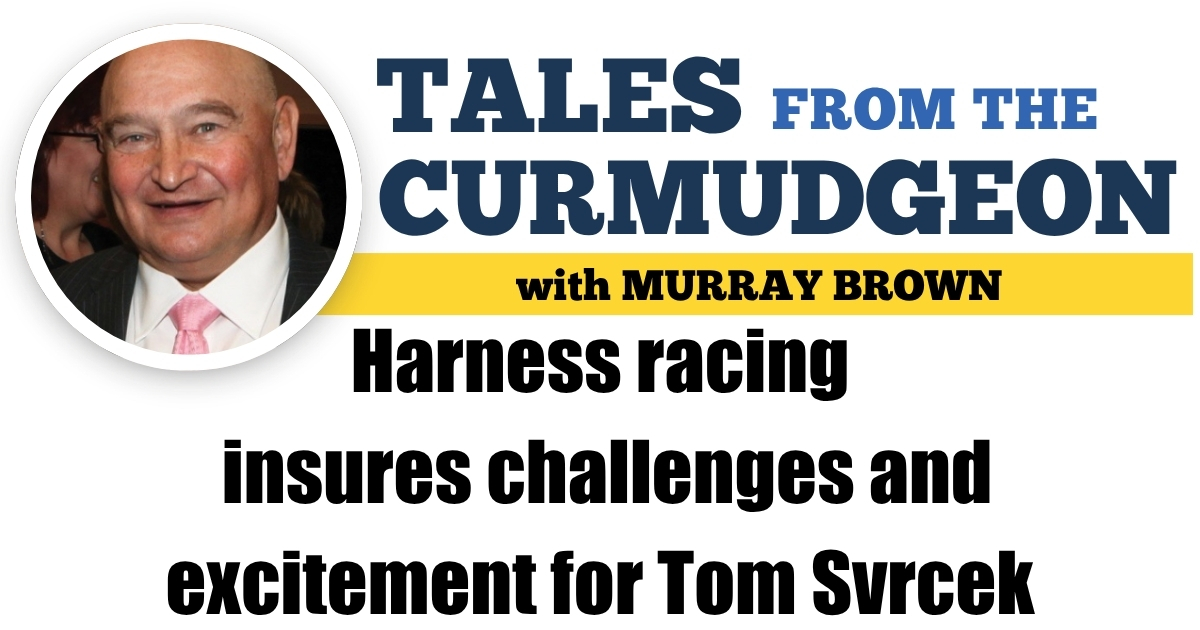 Harness racing insures challenges and excitement for Tom Svrcek
