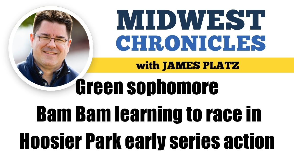 Green sophomore Bam Bam learning to race in Hoosier Park early series action