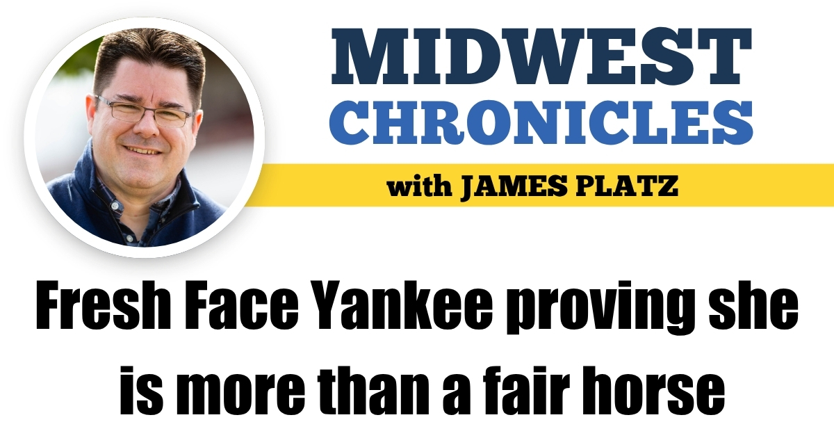 Fresh Face Yankee proving she is more than a fair horse