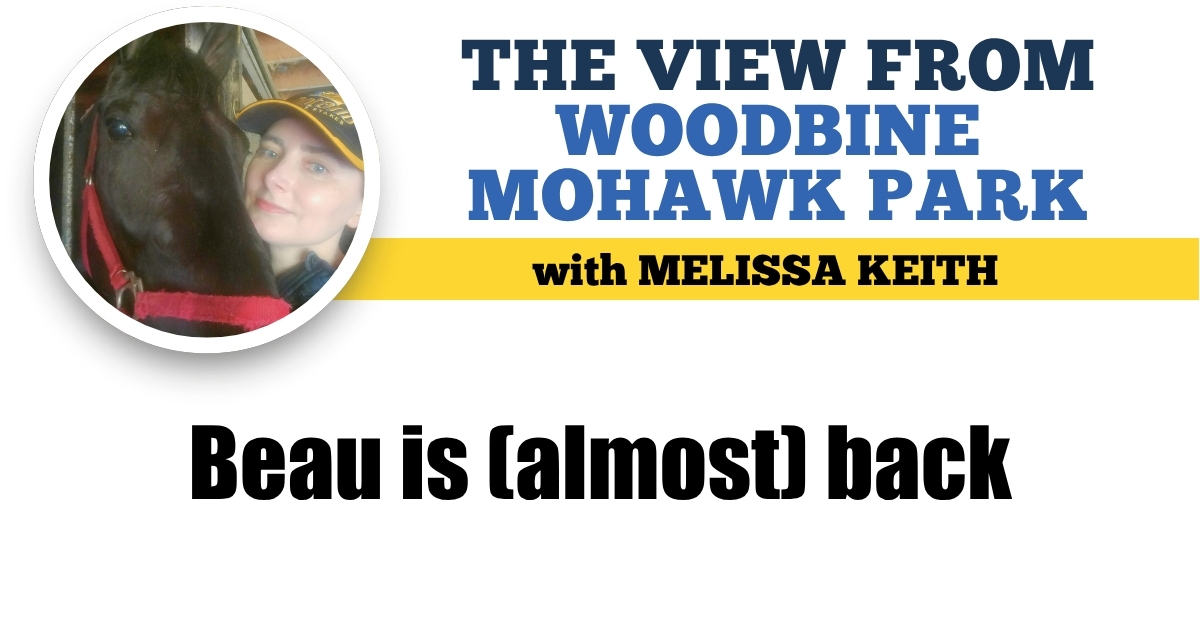 Beau is (almost) back