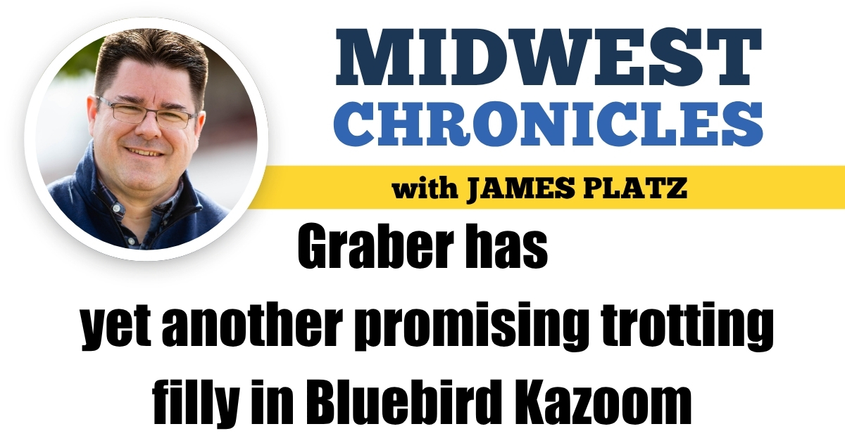 Graber has yet another promising trotting filly in Bluebird Kazoom