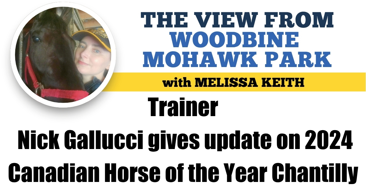 Trainer Nick Gallucci gives update on 2024 Canadian Horse of the Year Chantilly