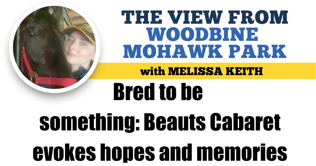 Bred to be something: Beauts Cabaret evokes hopes and memories