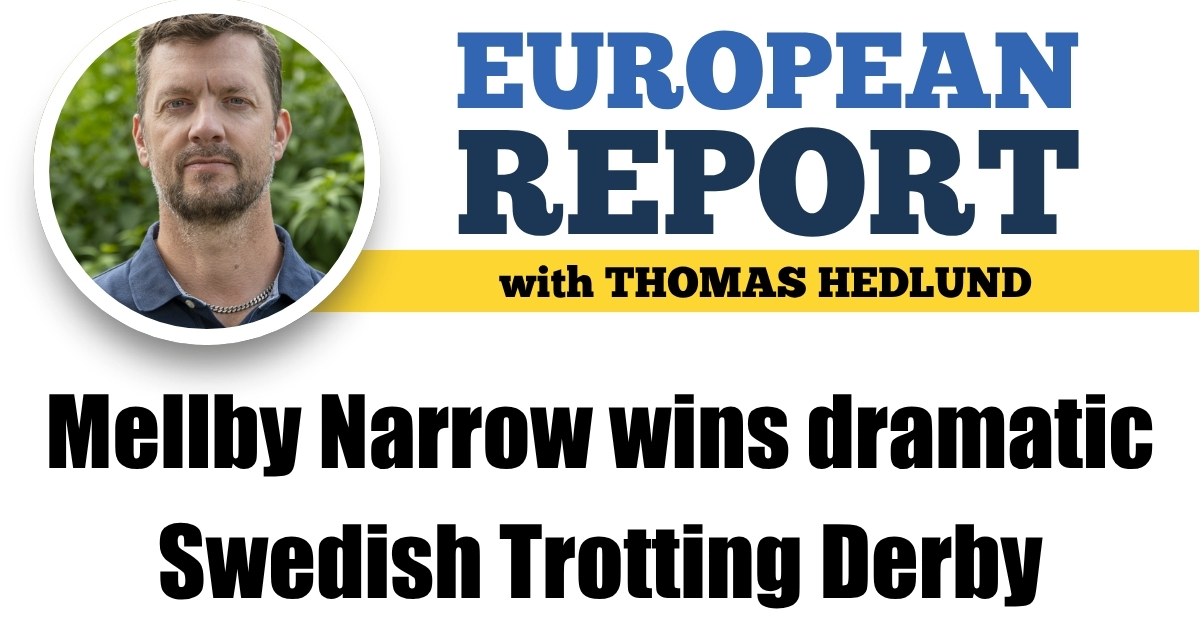 Mellby Narrow wins dramatic Swedish Trotting Derby