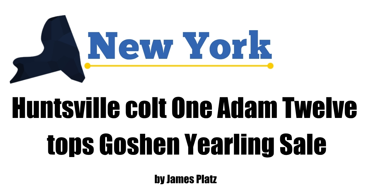 One Adam Twelve Tops 2026 Goshen Yearling Sale - News Directory 3