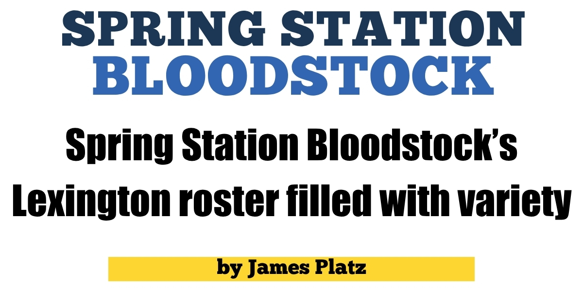 Spring Station Bloodstock’s Lexington roster filled with variety ...